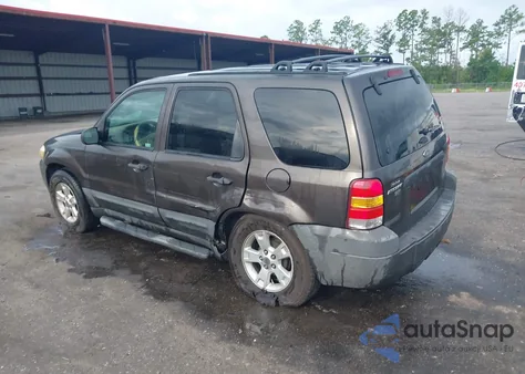2007 Ford Escape Xlt z USA, uszkodzony, nr VIN 1FMYU03ZX7KB25972